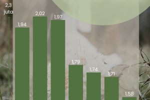 Menurunnya Angka Pernikahan di Indonesia: Antara Realita dan Harapan