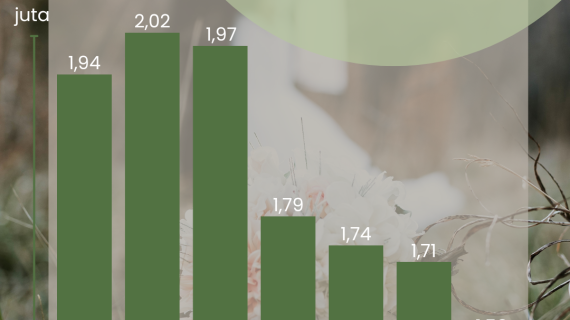 Menurunnya Angka Pernikahan di Indonesia: Antara Realita dan Harapan